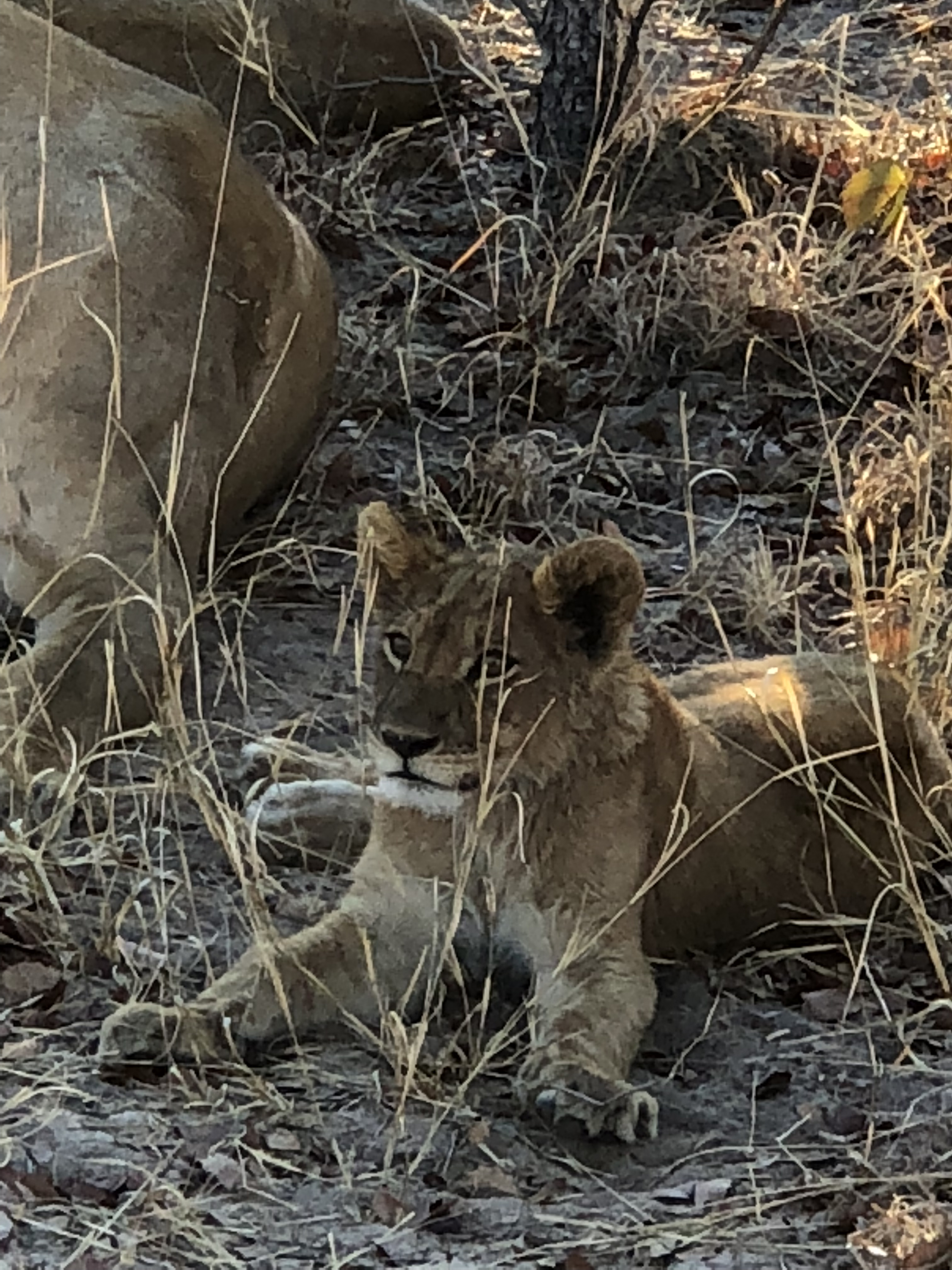 AFC35CBB-56CB-470E-98B8-91A981224BF3